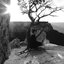 The Brokenwood Songs - EP