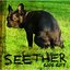 Seether: 2002–2013