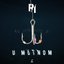 U mutnom - Single