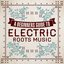 A Beginners Guide To Electric Roots Music