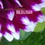 Realism