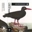 A Mixed Tape Made By Lathe Of Heaven (2)