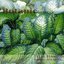 Botanic