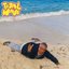 Tidal Wave - Single