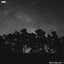 Black Noise Vol. 1