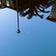 upside down