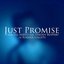 Just Promise (feat. Freddy Ruppert of Former Ghosts)