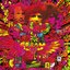 Disraeli Gears - Deluxe Editon [Disc 2] (Mono)