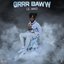 Grrr Baww - Single