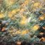 Little Bloom / Northern Light