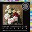 Mojo: Power Corruption & Lies Covered