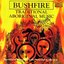 Bushfire - Traditional Aboriginal Music