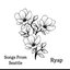 Songs From Seattle
