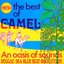 Camel & The Oasis of Reggae