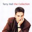 Terry Hall: The Collection