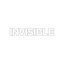Invisible 020