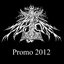 Promo 2012