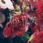 Caleb - EP