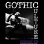 Gothic Culture, Vol.13 - 25 Darkwave & Industrial Tracks