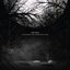 in the forests_the animals are moving