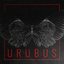 Urubus (feat. Derek) - Single