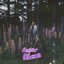 Super Bloom