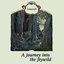 A Journey Into the Feywild