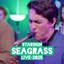 Seagrass (Live 2025)