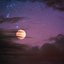 Polymoon