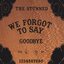 We Forgot To Say Goodbye