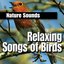 Relaxing Songs of Birds