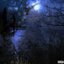 MoonLitLake