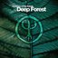 Essence Of The Forest By Deep Forest