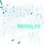 Waterlife