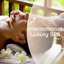 International Luxury Spa, Vol. 1