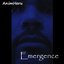 Emergence