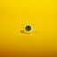 Dilated