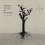 Seven Years Of Silence