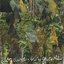 Slow Growth (Demos)