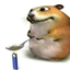 seanjjj 的头像