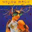 Yellow Magic Orchestra USA & Yellow Magic Orchestra