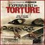 Experiment In Torture