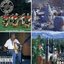 Authentic Turkey - The Islamic World 1