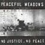 No justice, no peace