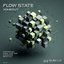 Flow State