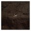 Lens - Single