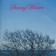 Sunny Winter