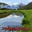 Tranquility