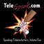 Spanking Telemarketers, Volume One