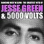 Dancing Nice 'N Slow: The Greatest Hits Of Jesse Green & 5000 Volts
